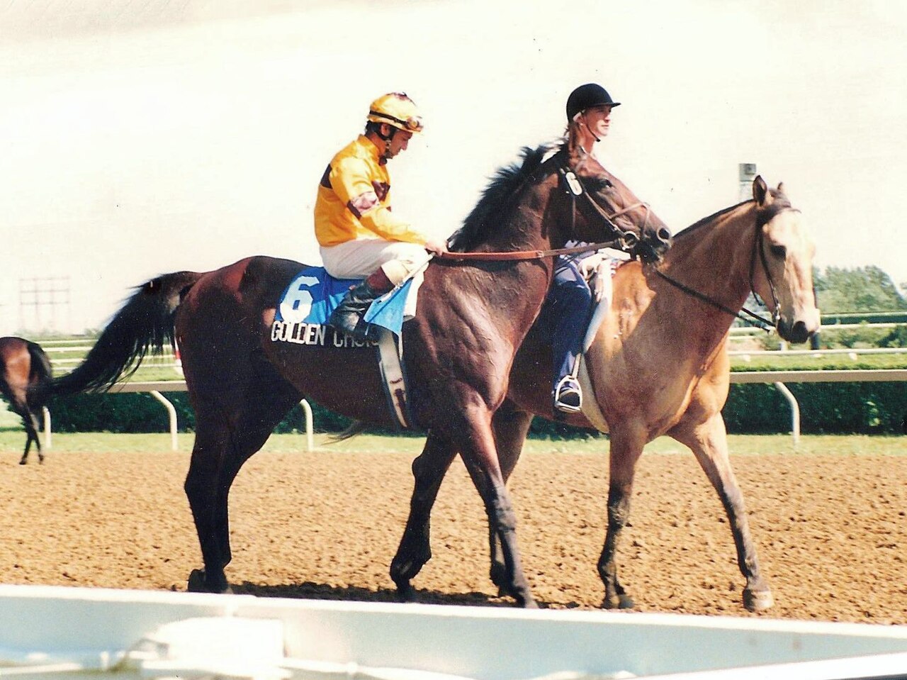 Field of horses driving to the line in front of a packed grandstand